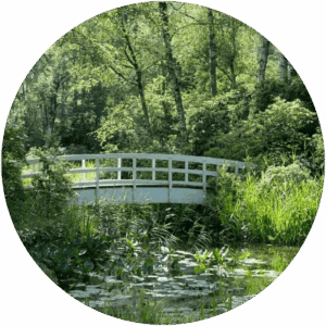 Brücke über einen Teich mit Seerosen, umgeben von Bäumen